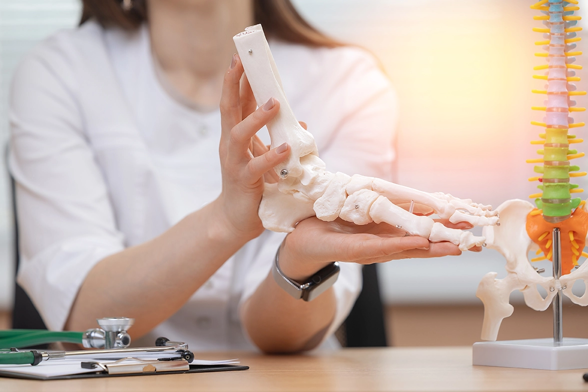 Female doctor holding anatomical foot bone model in medical office.